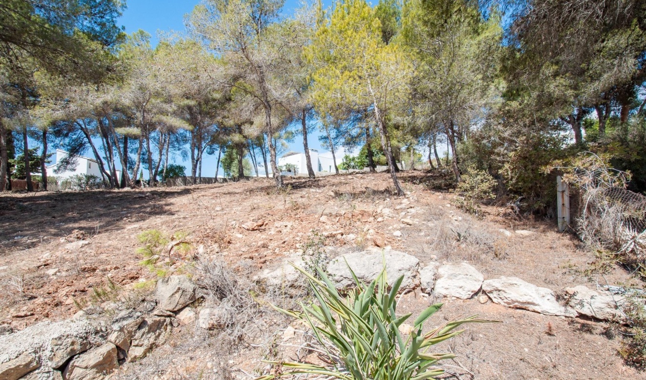 Alquiler a largo plazo - Parcelas y Terrenos - Moraira