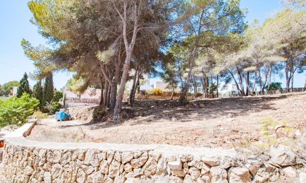 Alquiler a largo plazo - Parcelas y Terrenos - Moraira