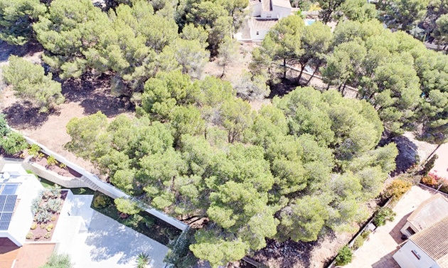 Alquiler a largo plazo - Parcelas y Terrenos - Moraira