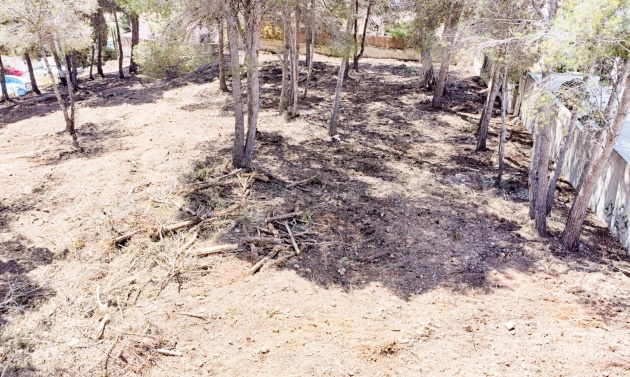 Alquiler a largo plazo - Parcelas y Terrenos - Moraira