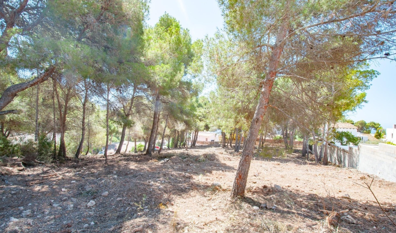 Alquiler a largo plazo - Parcelas y Terrenos - Moraira