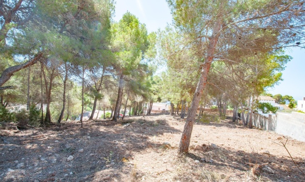 Alquiler a largo plazo - Parcelas y Terrenos - Moraira