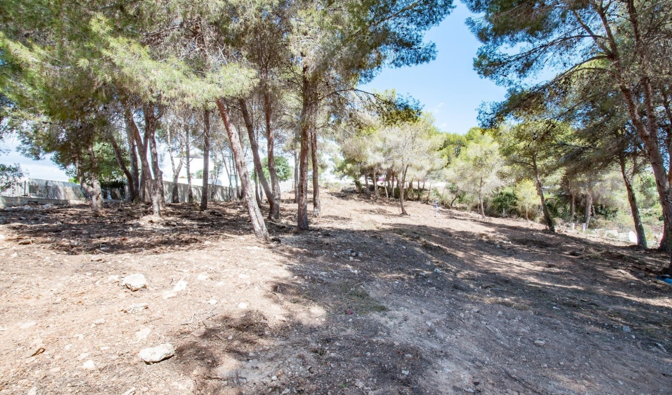 Alquiler a largo plazo - Parcelas y Terrenos - Moraira