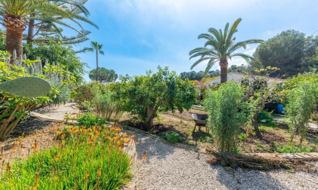 Alquiler a largo plazo - Villas - Chalets - Moraira - Arnella