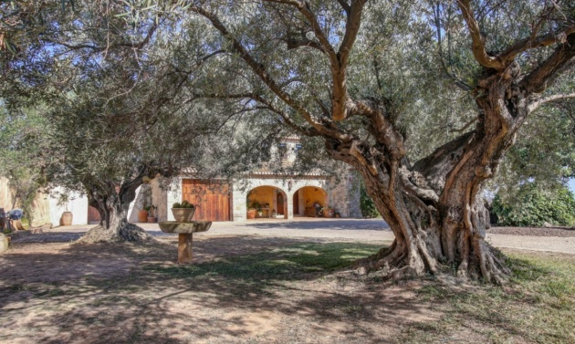 Long term Rentals - Country Houses - Fincas - Moraira - campo