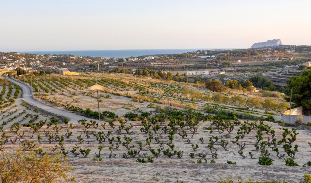 Long term Rentals - Country Houses - Fincas - Moraira - campo