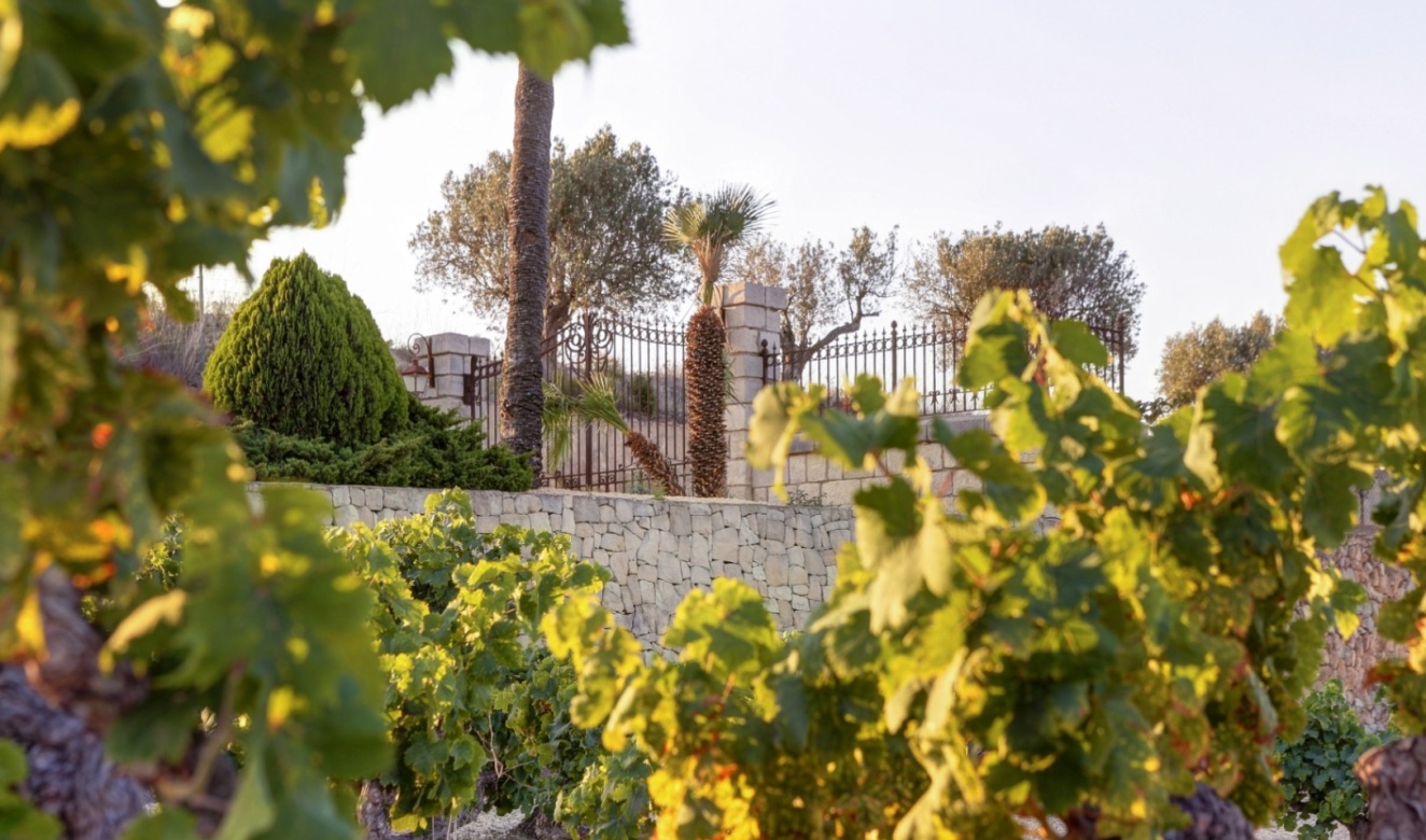 Long term Rentals - Country Houses - Fincas - Moraira - campo