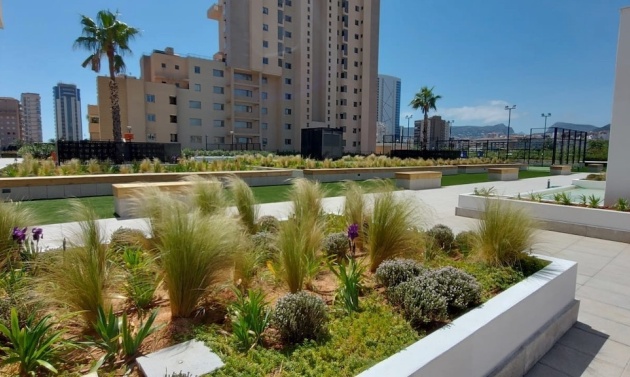 New Builds - Apartments - Flats - Calpe - Playa Arenal Bol