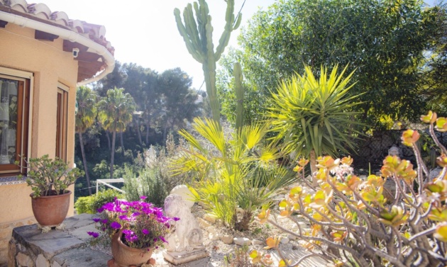 Resales - Villas - Benissa - Buenavista