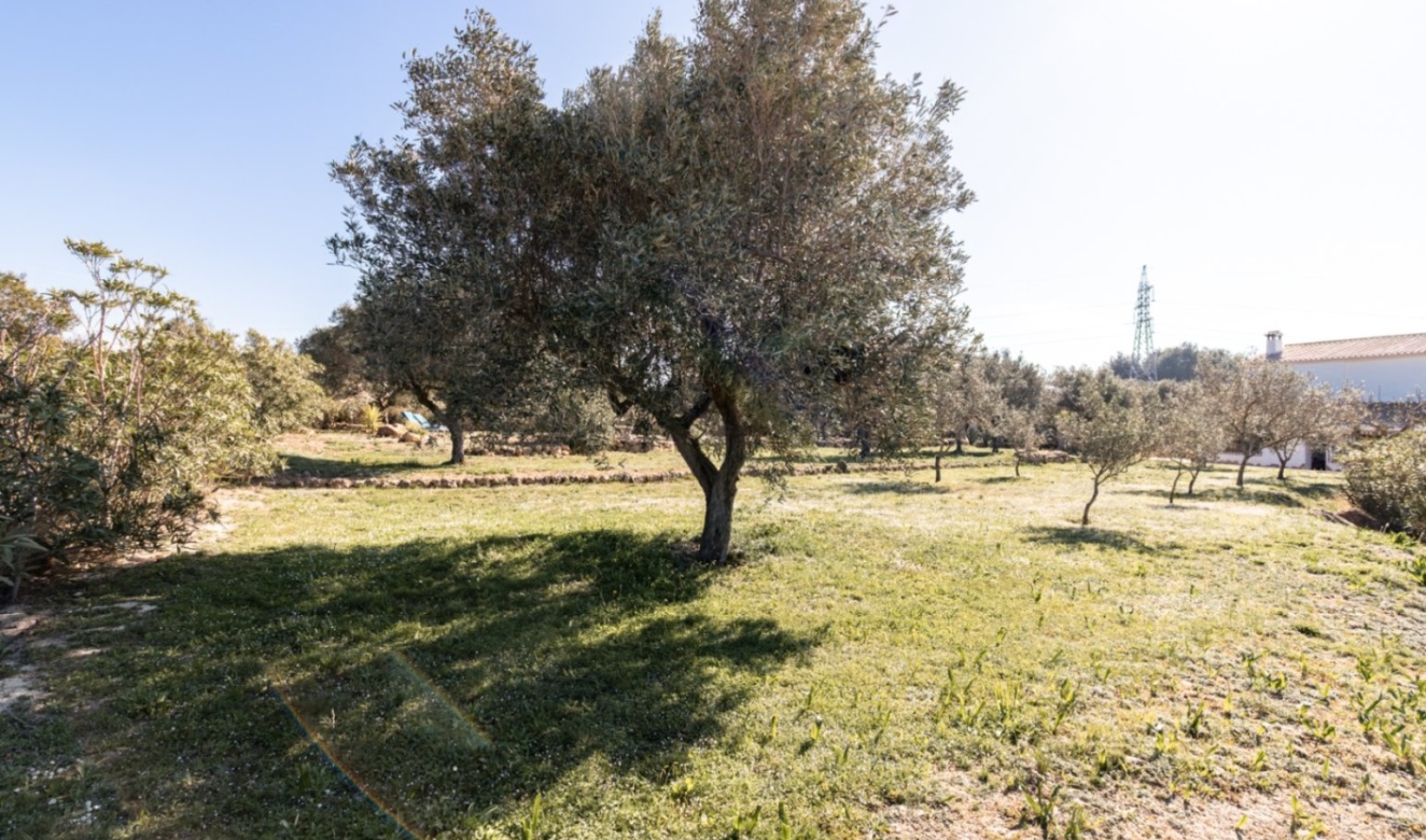 Resales - Country Houses - Fincas - Teulada - Partida Canor