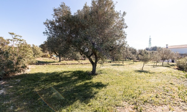 Resales - Country Houses - Fincas - Teulada - Partida Canor