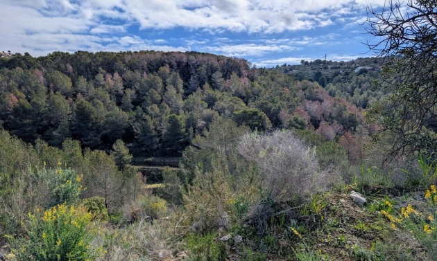 Resales - Plots of Land - Benissa - Partida Biasner