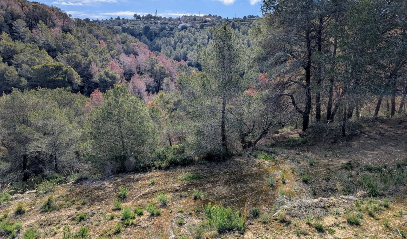 Resales - Plots of Land - Benissa - Partida Biasner