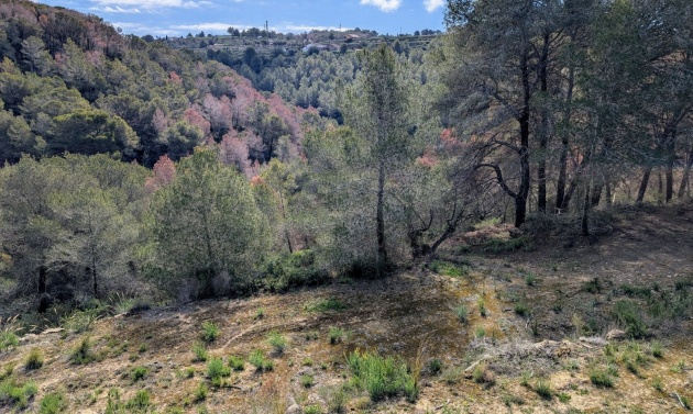 Resales - Plots of Land - Benissa - Partida Biasner