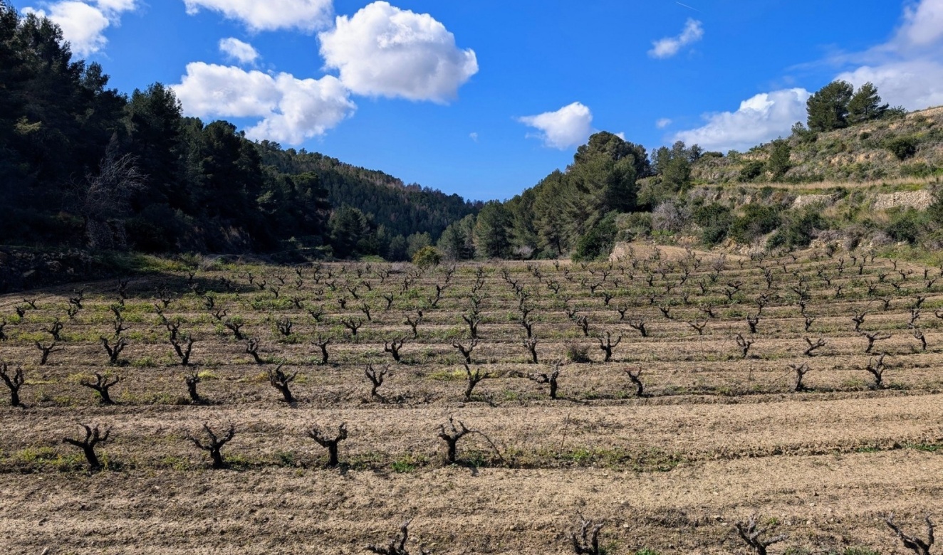 Resales - Plots of Land - Benissa - Partida Biasner