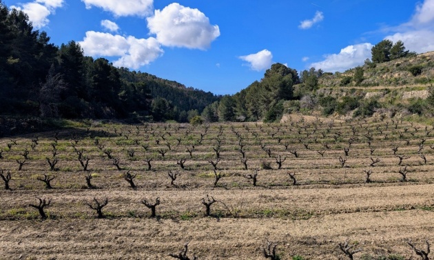 Resales - Plots of Land - Benissa - Partida Biasner