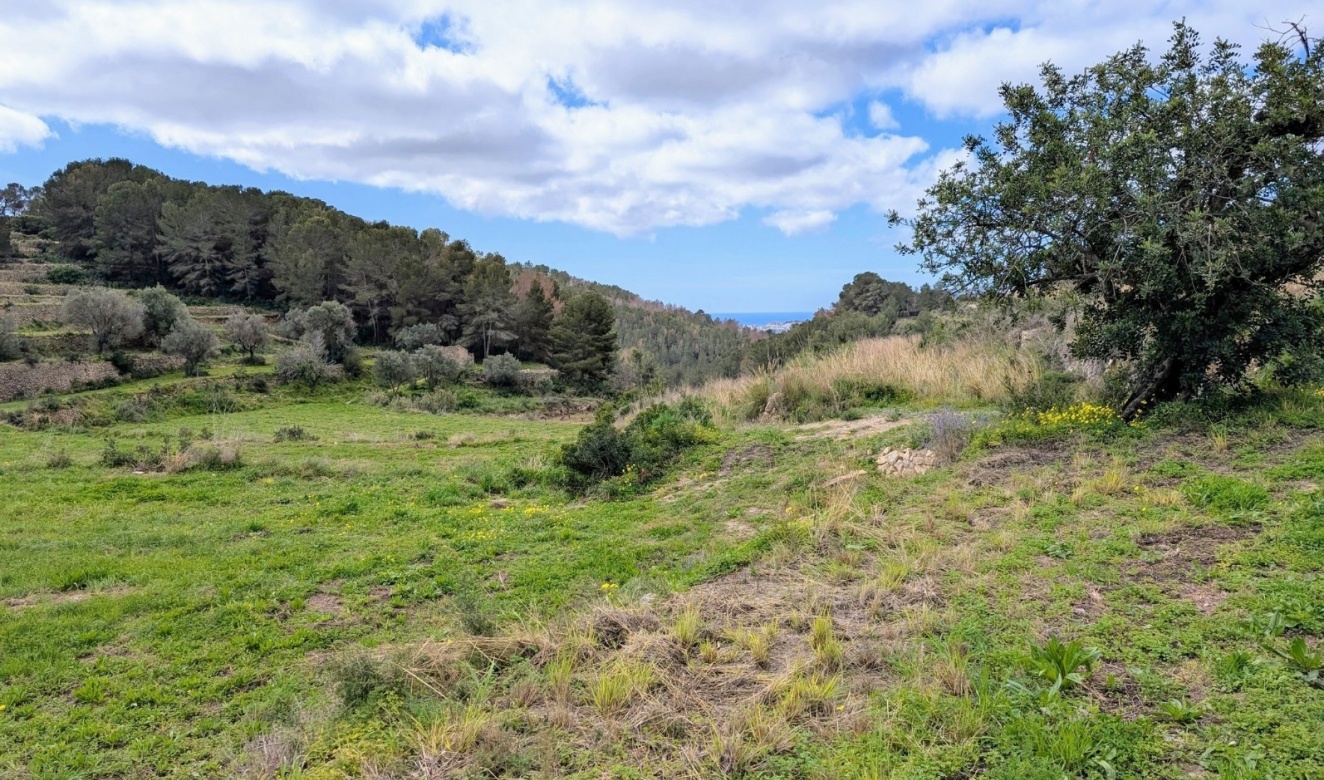 Resales - Plots of Land - Benissa - Partida Biasner