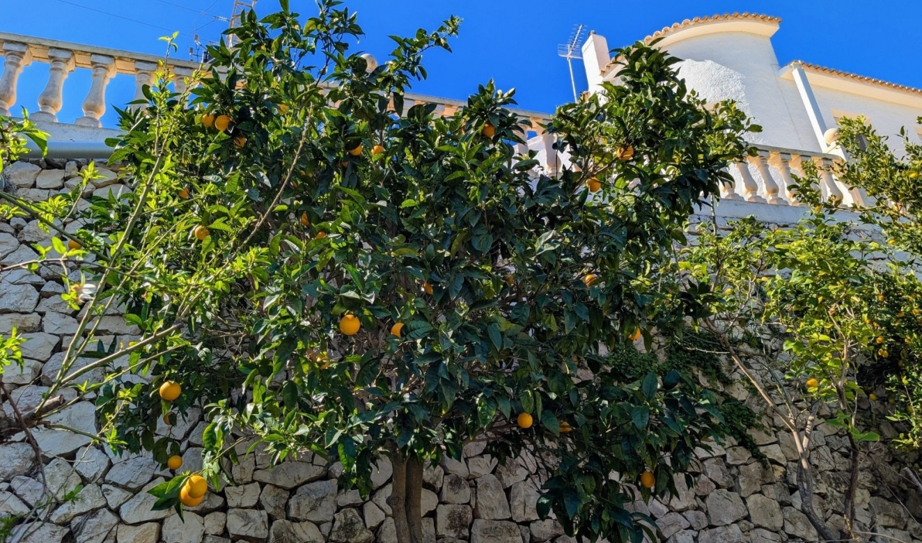 Resales - Villas - Benissa - Fanadix