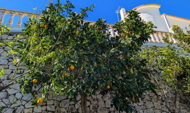 Resales - Villas - Benissa - Fanadix