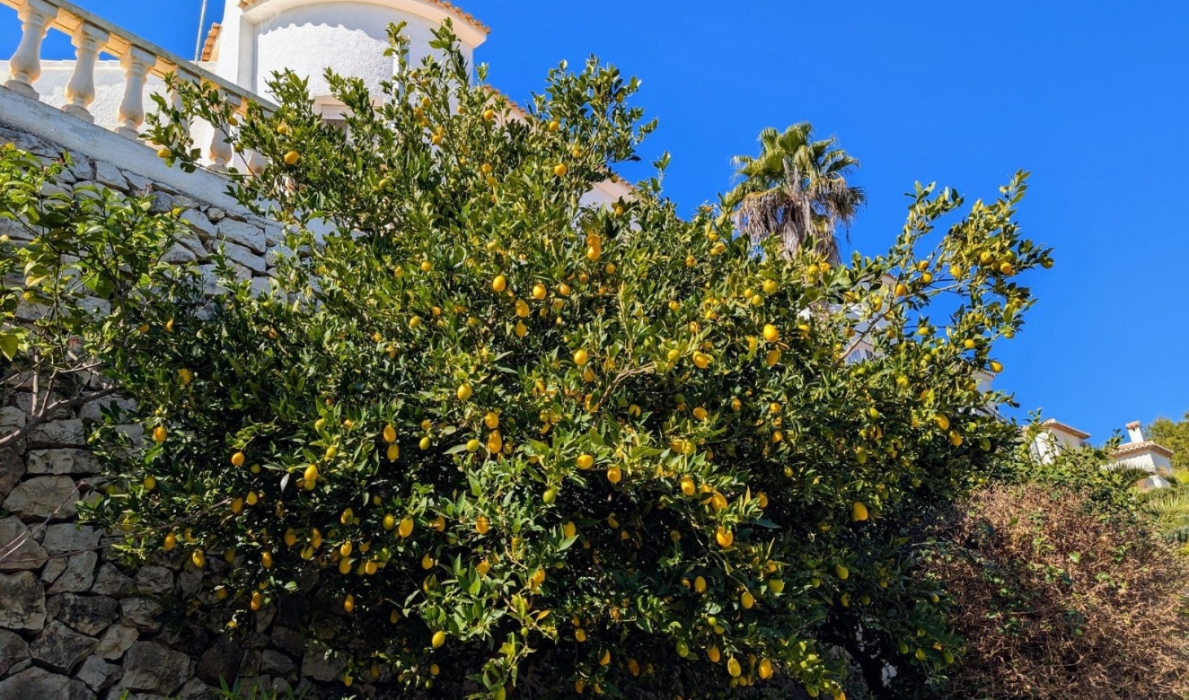 Resales - Villas - Benissa - Fanadix