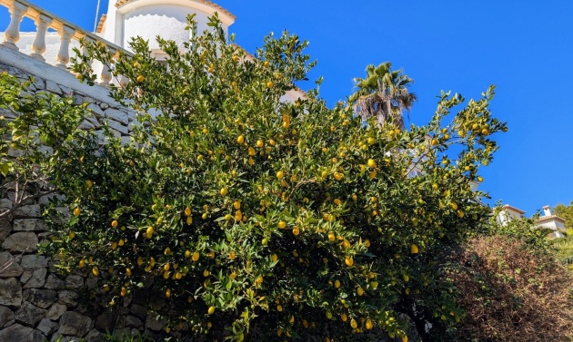 Resales - Villas - Benissa - Fanadix