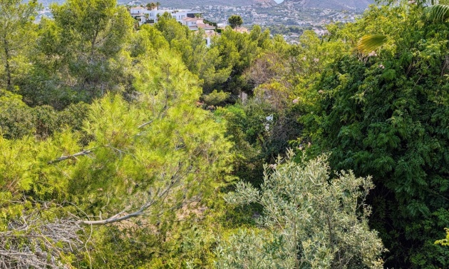 Liegenschaften - Villen - Moraira - Benimeit