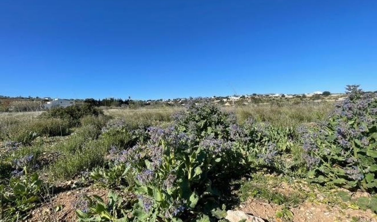 Reventes - Propriétés et Terrains constructibles - Teulada - Teulada Centre