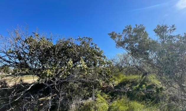 Reventes - Propriétés et Terrains constructibles - Teulada - Teulada Centre