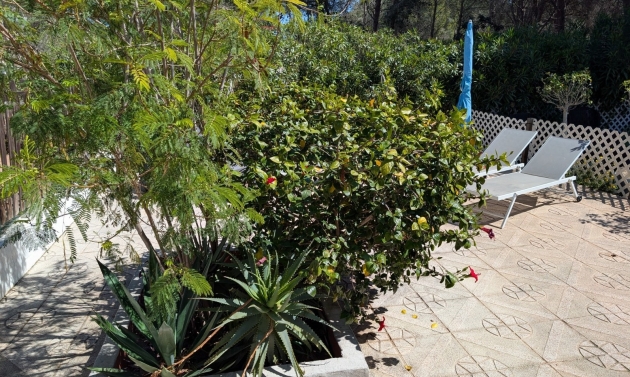 Resales - Townhouses - Terraced Houses - Moraira - Fanadix