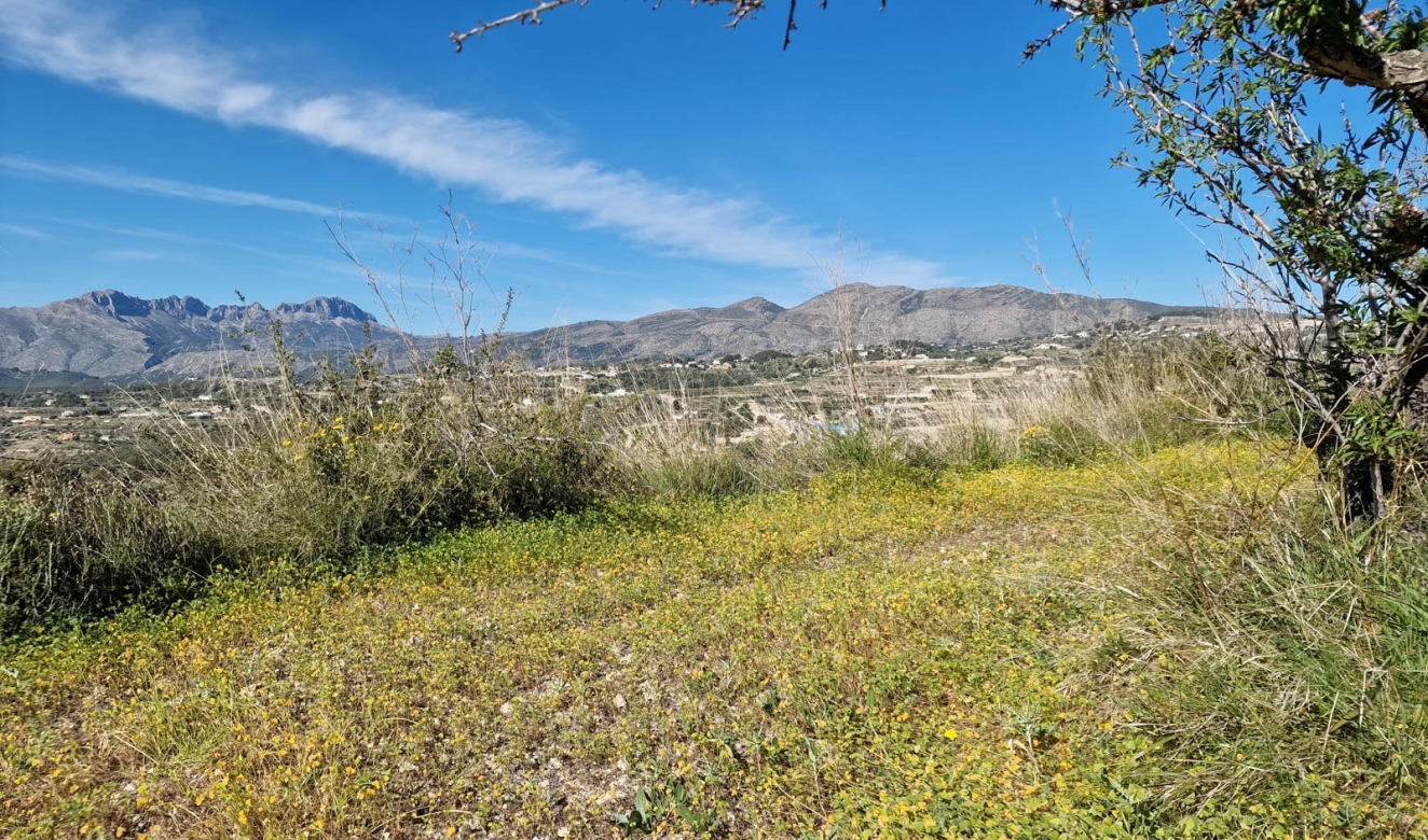 Reventas - Parcelas y Terrenos - Benissa - Partida Llenes