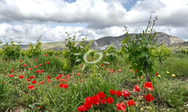Resales - Country Houses - Fincas - Teulada - Teulada Centre