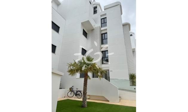 Resales - Apartments - Flats - Denia - Les Marines