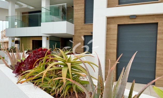 Resales - Apartments - Flats - Denia - Les Marines