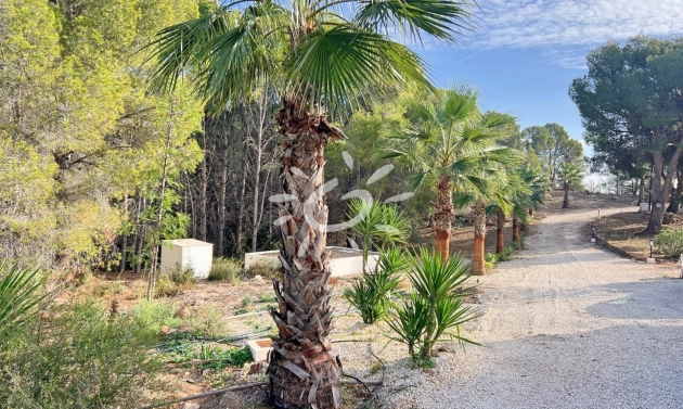 Reventes - Villas - Altea - Altea ciudad