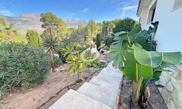 Reventes - Villas - Altea - Altea ciudad