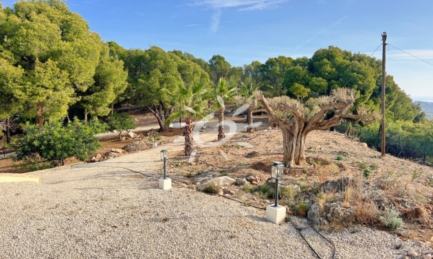 Reventes - Villas - Altea - Altea ciudad
