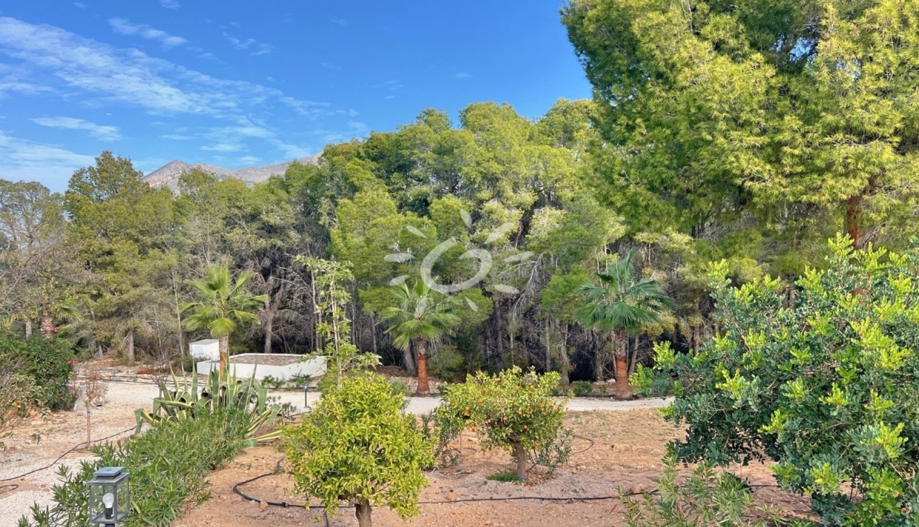 Reventes - Villas - Altea - Altea ciudad