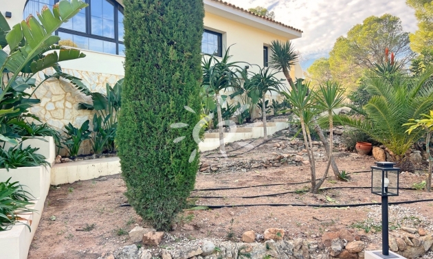 Reventes - Villas - Altea - Altea ciudad
