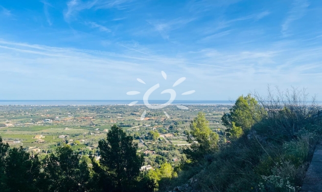 Reventes - Propriétés et Terrains constructibles - Pedreguer