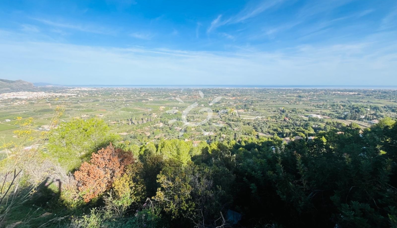 Reventes - Propriétés et Terrains constructibles - Pedreguer