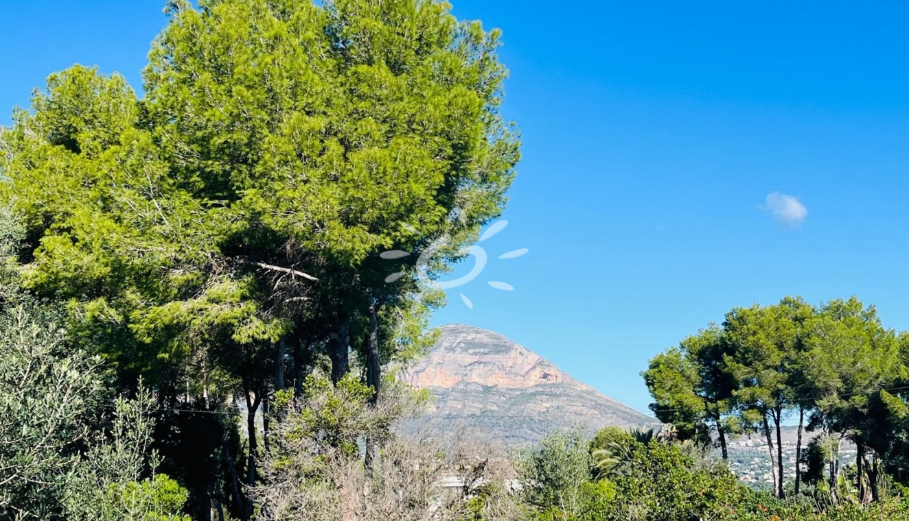 Reventas - Parcelas y Terrenos - Jávea / Xàbia - Partides comunes - Adsubia