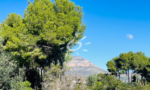Reventas - Parcelas y Terrenos - Jávea / Xàbia - Partides comunes - Adsubia
