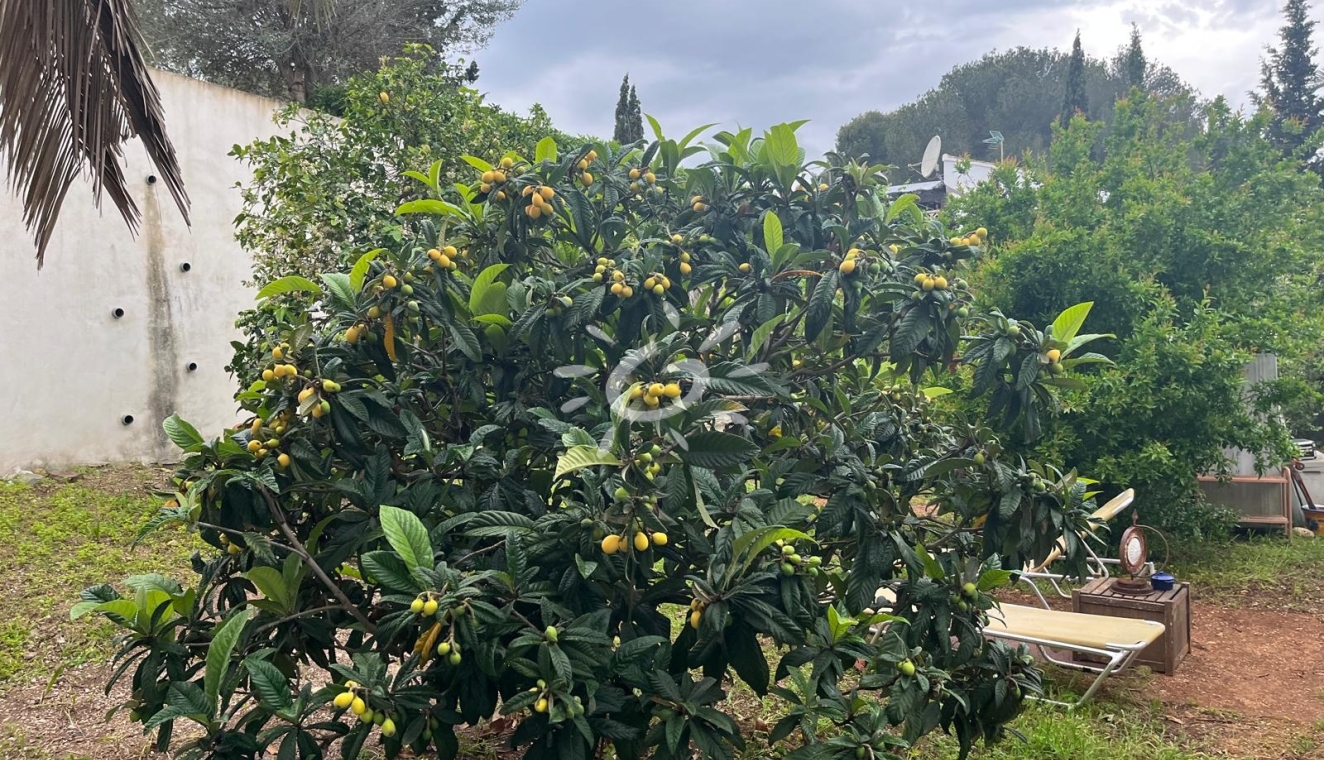 Resales - Villas - Jávea / Xàbia - Cap Martí - El Tossalet - Pinomar