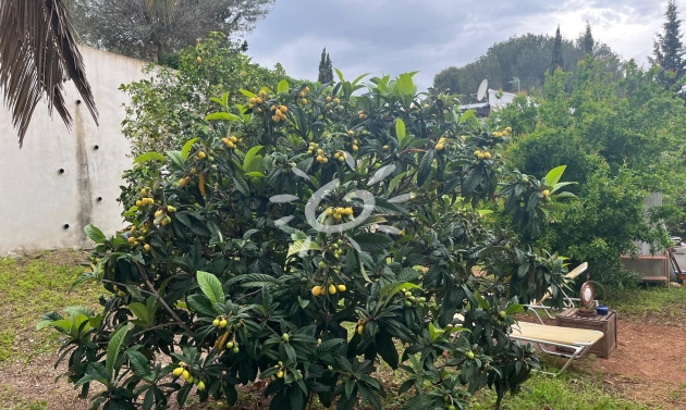 Resales - Villas - Jávea / Xàbia - Cap Martí - El Tossalet - Pinomar
