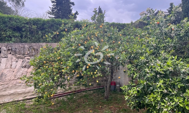 Resales - Villas - Jávea / Xàbia - Cap Martí - El Tossalet - Pinomar