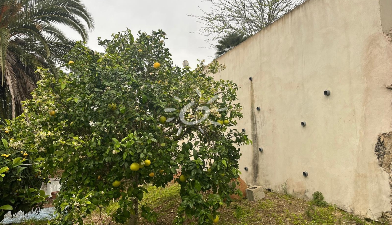 Resales - Villas - Jávea / Xàbia - Cap Martí - El Tossalet - Pinomar
