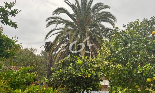 Resales - Villas - Jávea / Xàbia - Cap Martí - El Tossalet - Pinomar