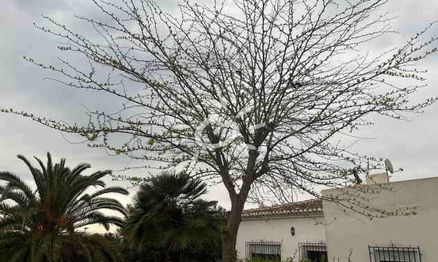 Resales - Villas - Jávea / Xàbia - Cap Martí - El Tossalet - Pinomar