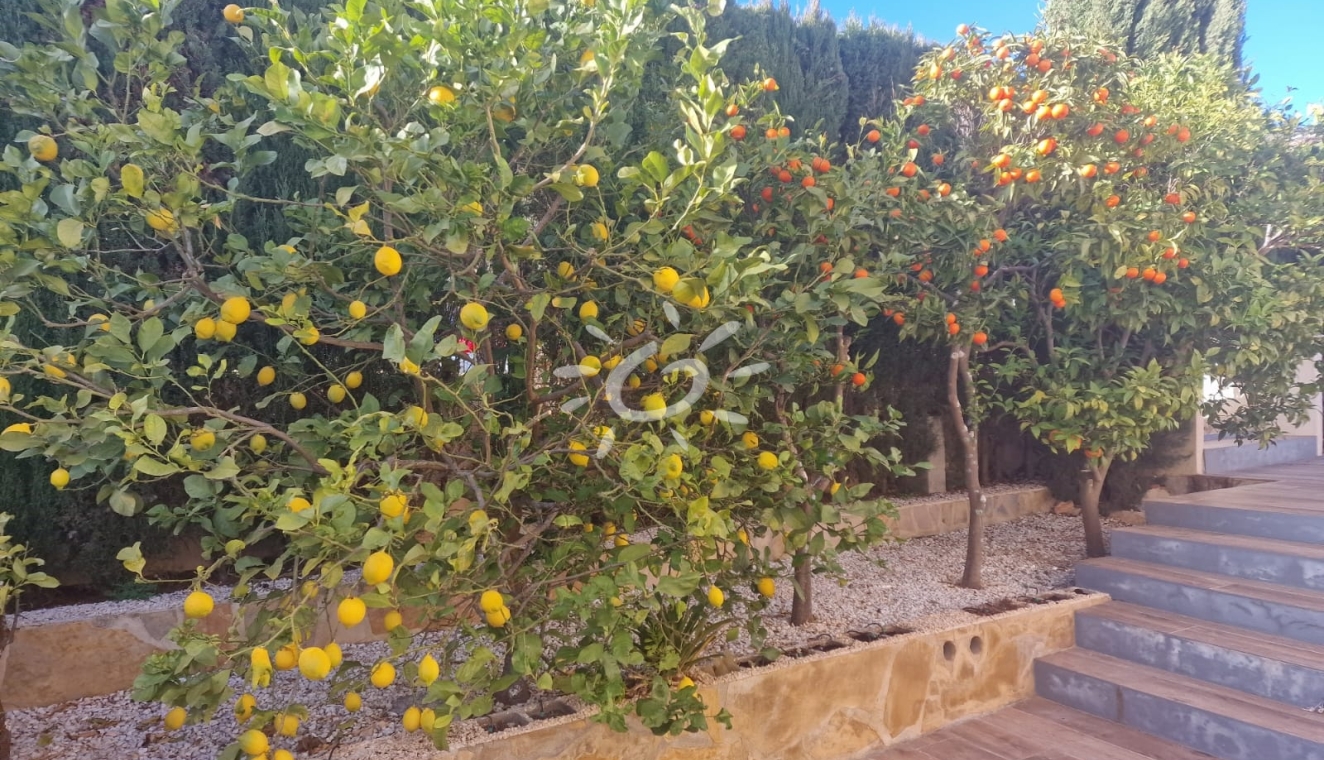 Resales - Villas - Benitachell / El Poble Nou de Benitatxell - Cumbre del Sol