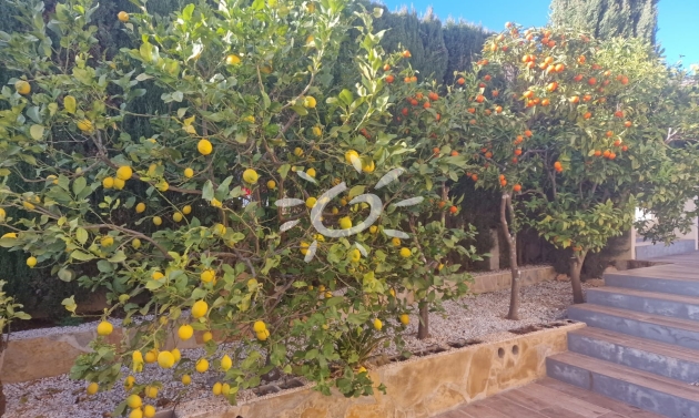 Resales - Villas - Benitachell / El Poble Nou de Benitatxell - Cumbre del Sol